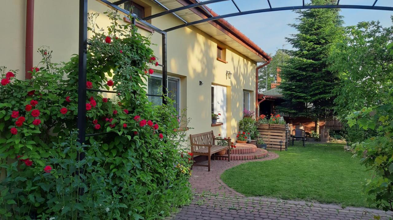 Apartament Bema Biała Podlaska Kültér fotó