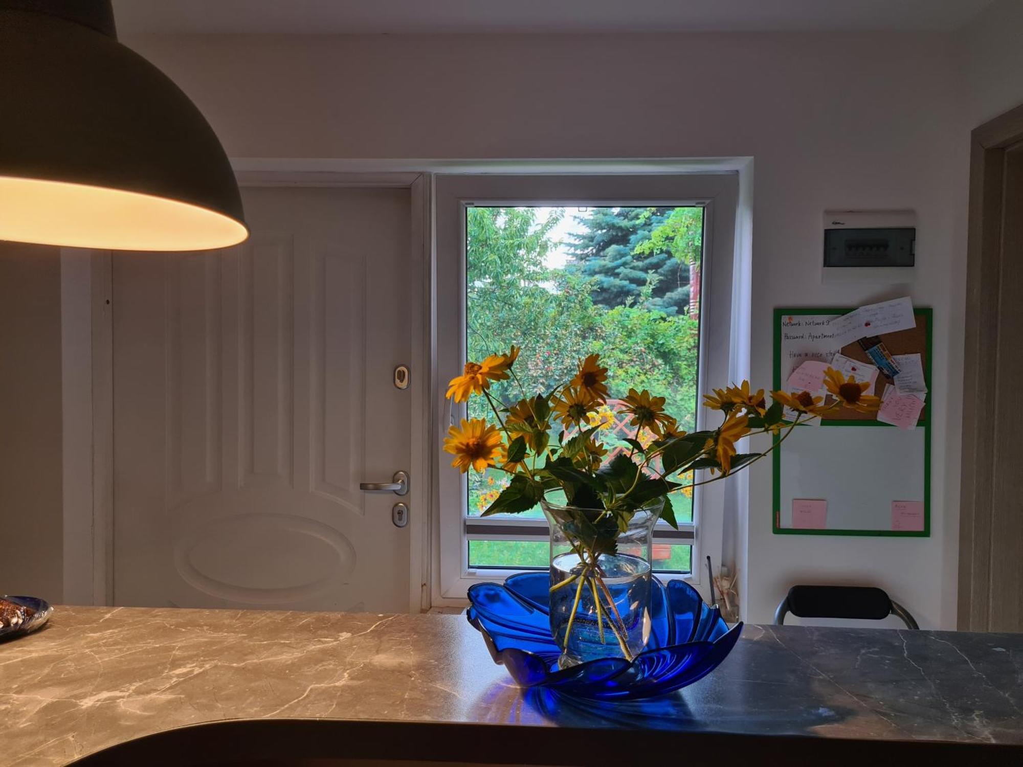 Apartament Bema Biała Podlaska Kültér fotó